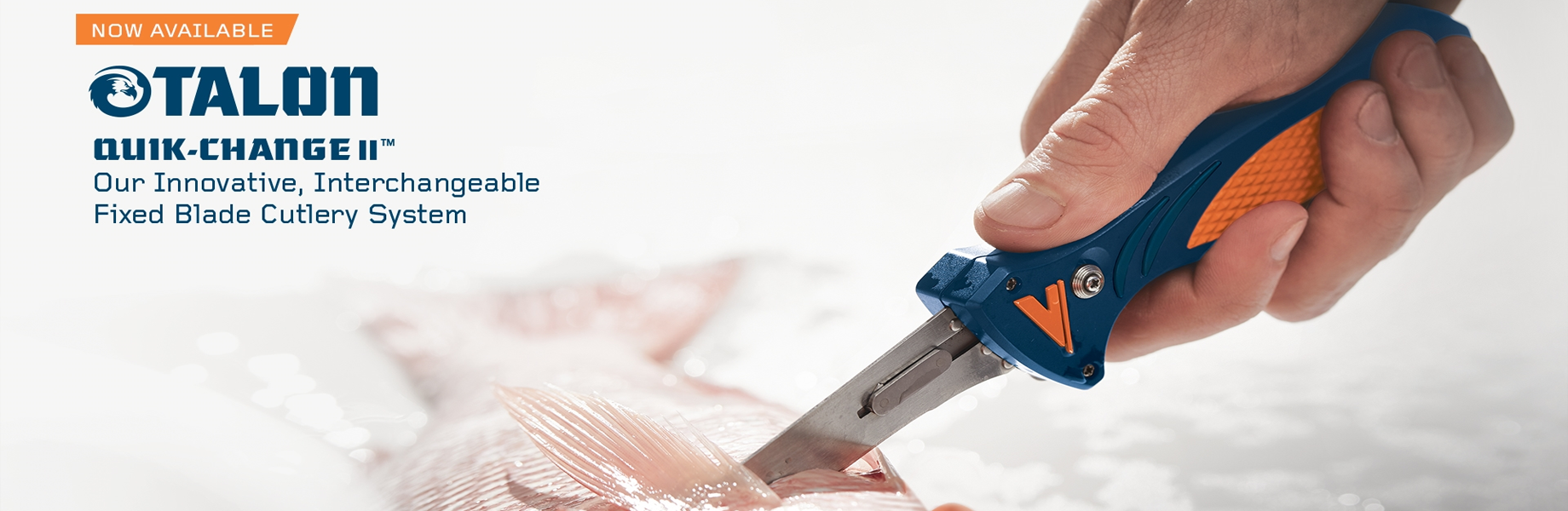Replaceable blade skinning knives and hunting knives by