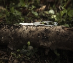 Picture of PIRANTA ECHO